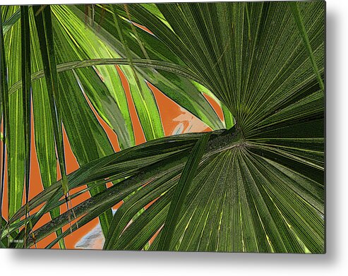 Key West Metal Print featuring the photograph Tropical Palms 2 by Frank Mari