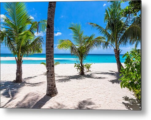 Coconut Metal Print featuring the photograph Tropical Vacation View by James BO Insogna