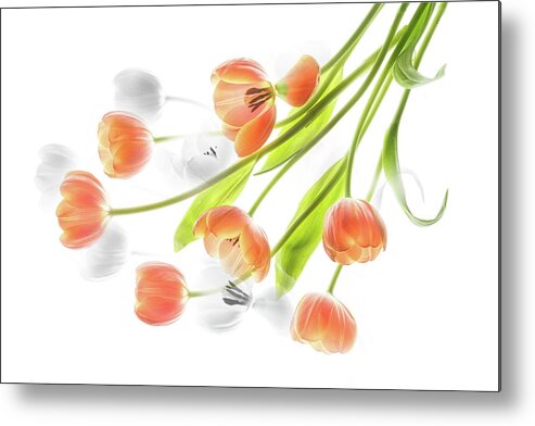 Tulips Metal Print featuring the photograph A creative presentation of a bouquet of tulips. by Usha Peddamatham