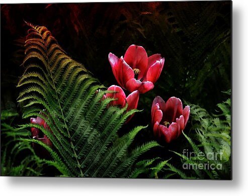 Flowers Flora Florals Metal Print featuring the photograph Tulips and Fern by Elaine Manley