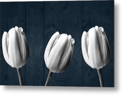Tulip Metal Print featuring the photograph Tulips And Wood by Johanna Hurmerinta