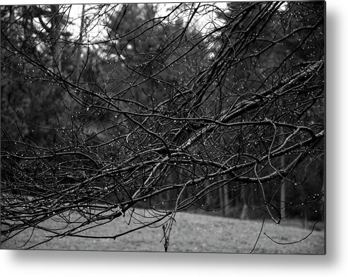 Twisted Metal Print featuring the photograph Twisted And Wet by Angie Tirado