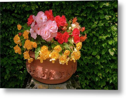 Formal Flowers In Pot Metal Print featuring the photograph Un Pot de Fleurs by Edward Shmunes