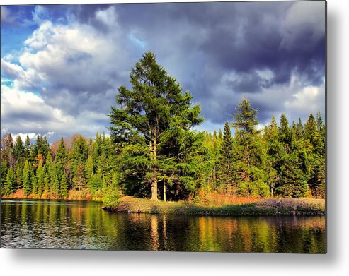 River Metal Print featuring the photograph Under the Shade Tree by Gary Smith