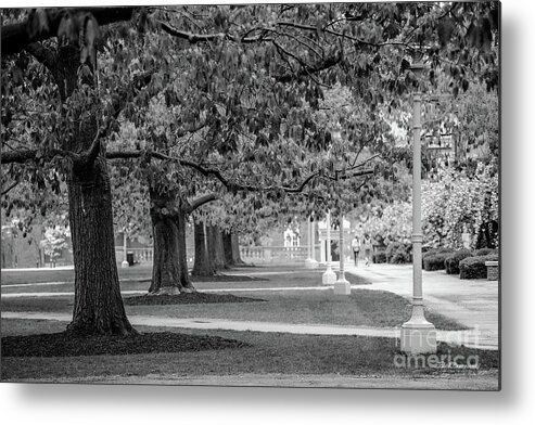 University Of Rochester Metal Print featuring the photograph University of Rochester Eastman Quadrangle by University Icons