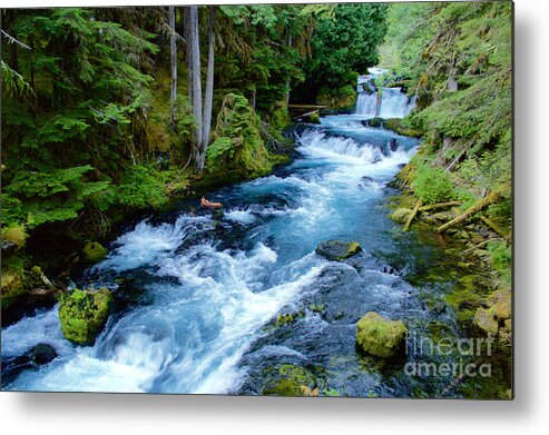 Photography Metal Print featuring the photograph Upper McKenzie by Sean Griffin