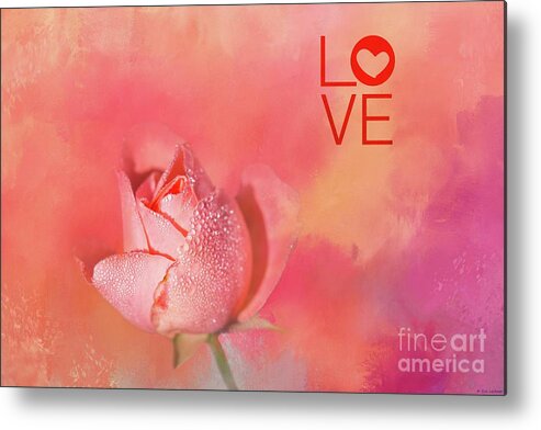 Rose Metal Print featuring the photograph Valentine Rose by Eva Lechner