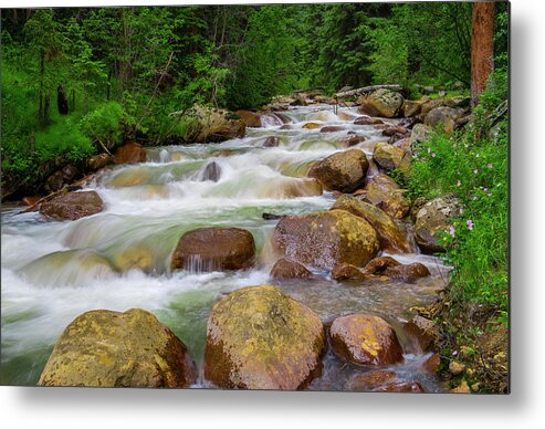 Forest Metal Print featuring the photograph Velvet Green Forest by Tim Reaves