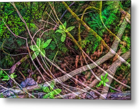 Roots Metal Print featuring the photograph Verdant Tangle by Christopher Byrd