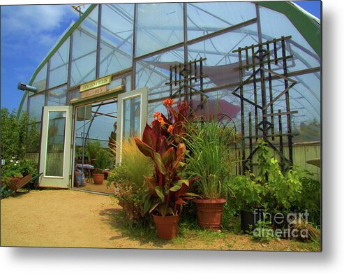 Greenhouse Metal Print featuring the photograph Vibrant Greenhouse by Tammie Miller