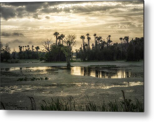 Crystal Yingling Metal Print featuring the photograph Viera Storm by Ghostwinds Photography