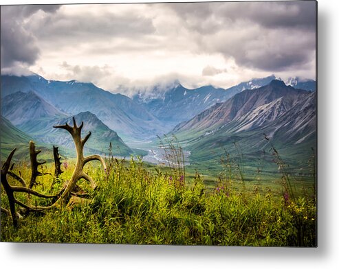 Alaska Metal Print featuring the photograph View from Eielson by Claudia Abbott