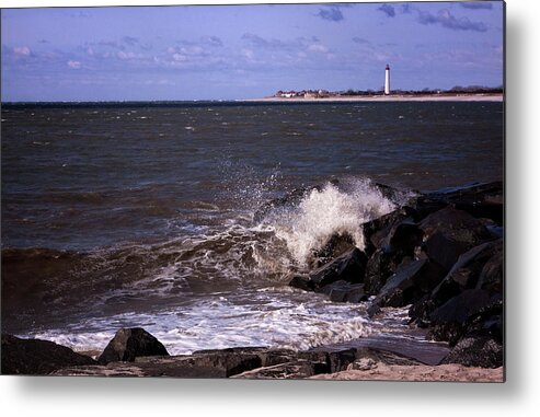 The Cove Metal Print featuring the photograph View From The Cove by Tom Singleton