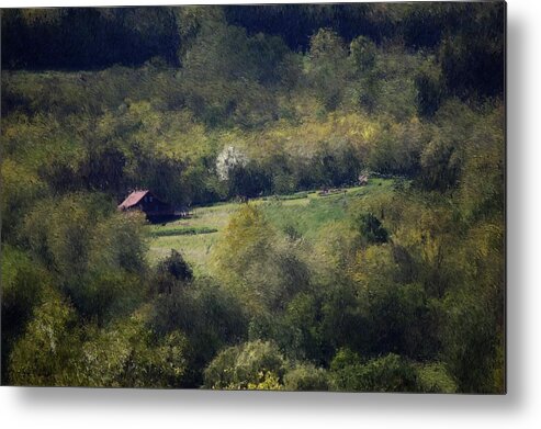 Digital Photography Metal Print featuring the digital art View from the Pond at the Hacienda by David Lane