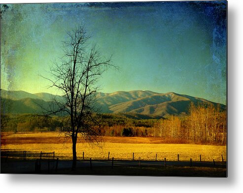 Cades Cove Metal Print featuring the photograph View Of The Smokies by Mike Eingle
