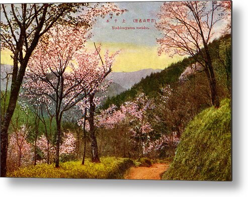 Archival Metal Print featuring the painting Vintage Japanese Art 14 by Hawaiian Legacy Archive - Printscapes