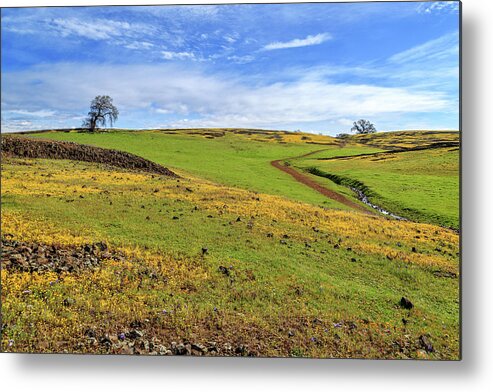 Volcanic Metal Print featuring the photograph Volcanic Spring by James Eddy
