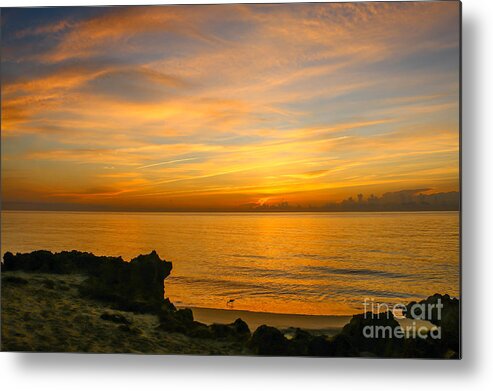 Wade Metal Print featuring the photograph Wading in Golden Waters by Tom Claud