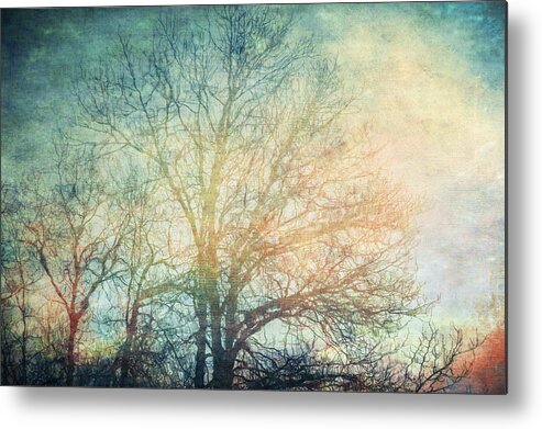 Artistic Metal Print featuring the photograph Waiting for Rain by Michele Cornelius