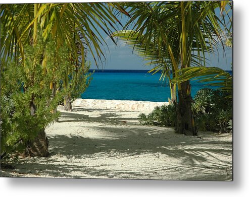 Tropical Beaches Metal Print featuring the photograph Walk with Me by Lori Mellen-Pagliaro