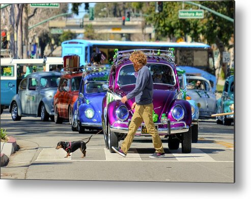  Metal Print featuring the photograph Walking the Dog by Wendell Ward