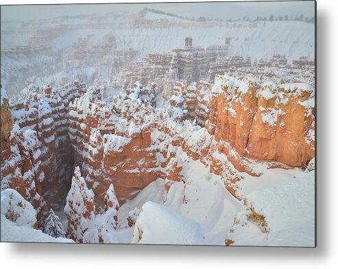 Bryce Canyon National Park Metal Print featuring the photograph Wall Street Plus by Ray Mathis
