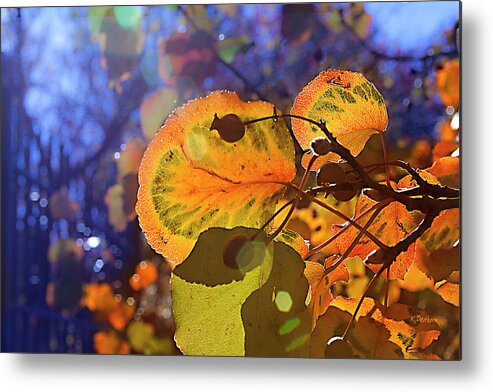 Leaves Metal Print featuring the photograph Warm Autumn Day by Kathy Besthorn