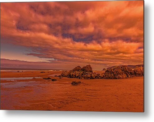Anemone Metal Print featuring the photograph Warm Light on Lincoln City Seaside by Brenda Jacobs