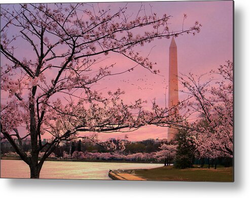Cherry Blossom Festival Metal Print featuring the photograph Washington Monument Cherry Blossom Festival by Shelley Neff
