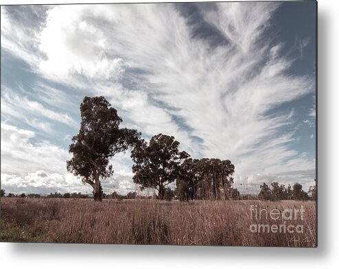 Clouds Metal Print featuring the photograph Watching clouds float across the sky by Linda Lees