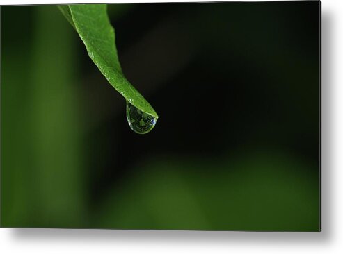 Minimalism Metal Print featuring the photograph Water Drop by Richard Rizzo