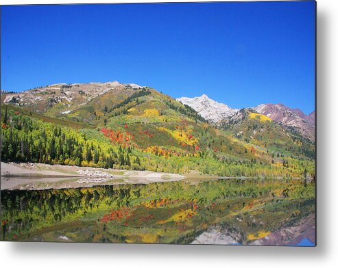 Autumn Metal Print featuring the photograph Water by Mark Smith