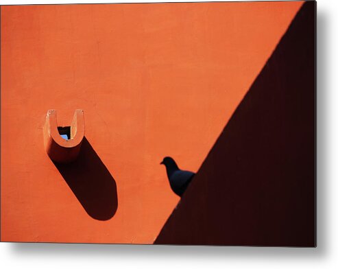 Shadow Photography Metal Print featuring the photograph Water Outlet Vs The Pigeon by Prakash Ghai