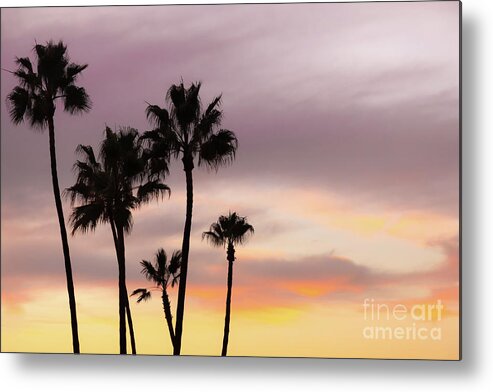 Palm Trees Metal Print featuring the photograph Watercolor Sky by Ana V Ramirez