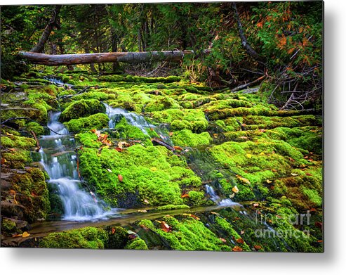 Waterfall Metal Print featuring the photograph Waterfall over mossy rocks by Elena Elisseeva
