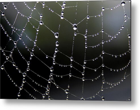 Spider Web Metal Print featuring the digital art Web by Julian Perry
