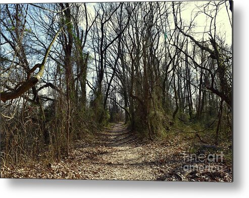 Barrieloustark Metal Print featuring the photograph Well Worn Path by Barrie Stark