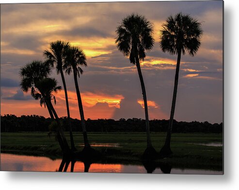 Florida Metal Print featuring the photograph Wetlands Sunset by Stefan Mazzola