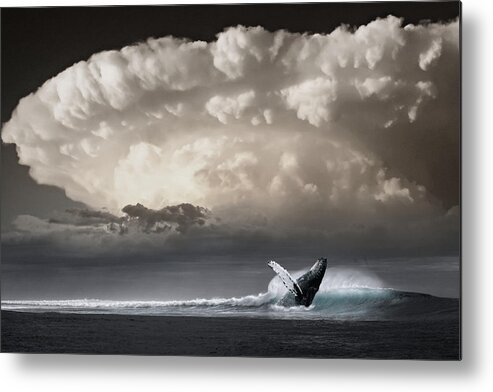 Whale Metal Print featuring the photograph Whale Storm by Ally White
