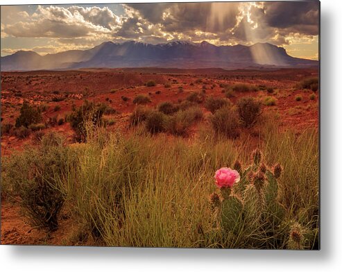Spring Metal Print featuring the photograph When the light appears... by Wasatch Light