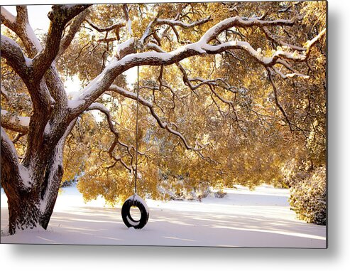 Tire Swings Metal Print featuring the photograph When Winter Blooms by Karen Wiles