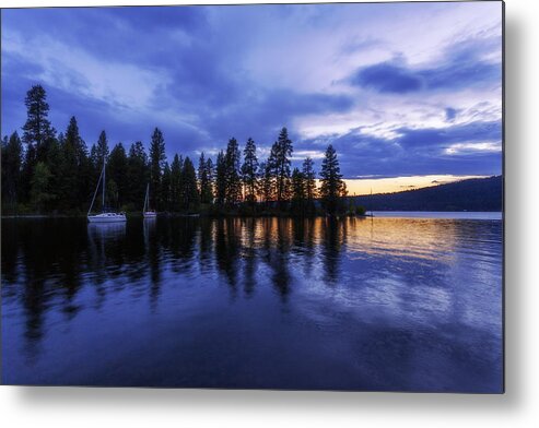 Where Are The Ducks Metal Print featuring the photograph Where are the Ducks? by Chad Dutson