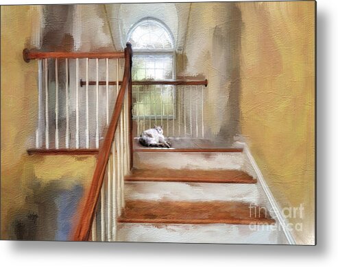 Step Metal Print featuring the digital art Where's Kitty by Lois Bryan