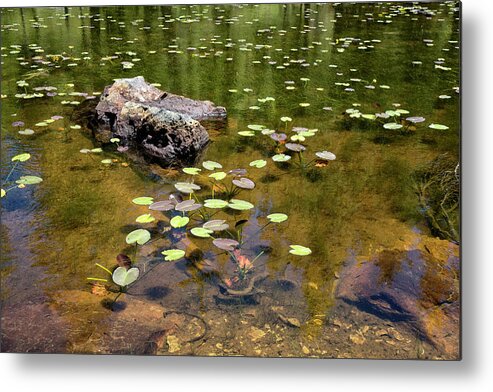 Betty Depee Metal Print featuring the photograph Whiskey Lake by Betty Depee