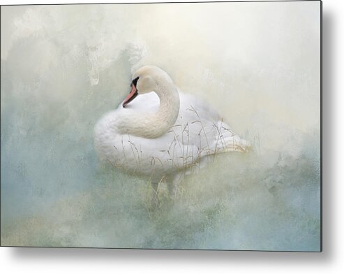 Soft Metal Print featuring the photograph Whisper in the Mist by Lynn Bauer
