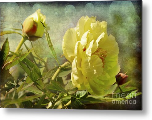 Flower Metal Print featuring the photograph Whispers in the Wind by Elaine Manley