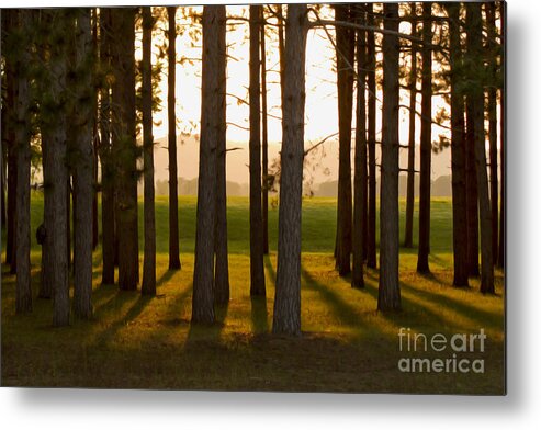 Landscape Metal Print featuring the photograph Whispers of the Trees by Inspired Arts