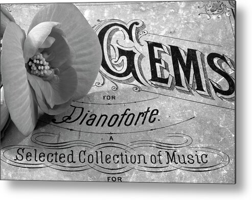 White Begonia Art Metal Print featuring the photograph White Begonia on Gems - Pianoforte by Sandra Foster