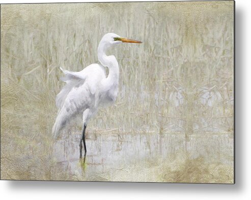 Bird Metal Print featuring the photograph White Egret in the Marsh by Karen Lynch