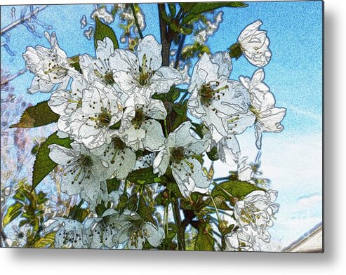 Bloom Metal Print featuring the photograph White Flowers - Variation 1 by Jean Bernard Roussilhe